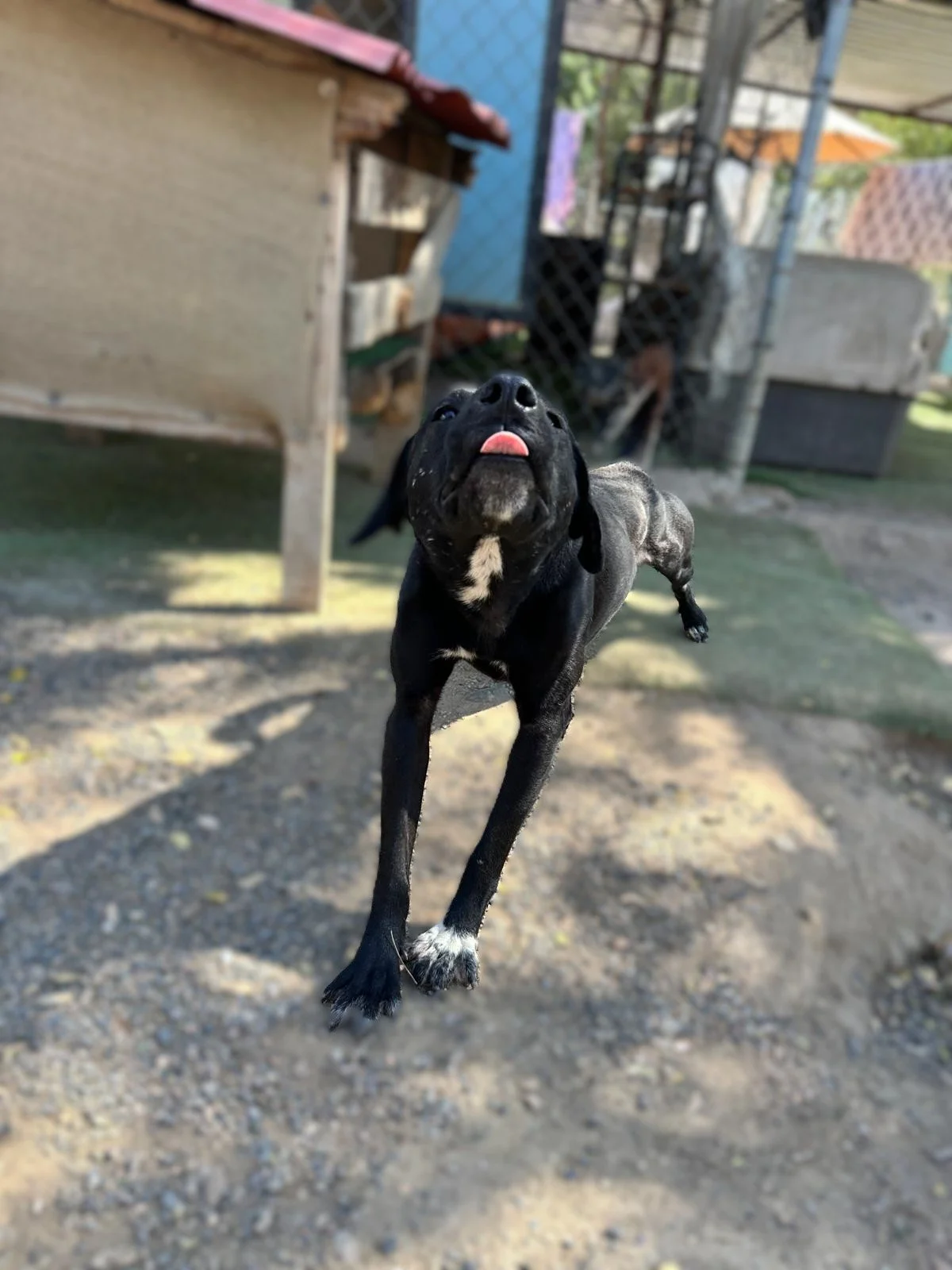 WhatsApp Image 2026-01-29 at 4.26.38 PM (2).jpeg