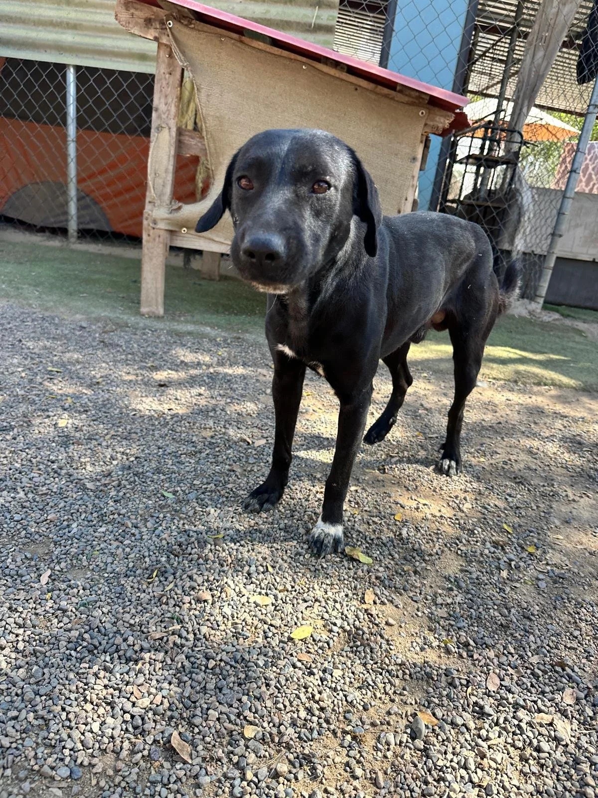 WhatsApp Image 2026-01-29 at 4.26.35 PM.jpeg