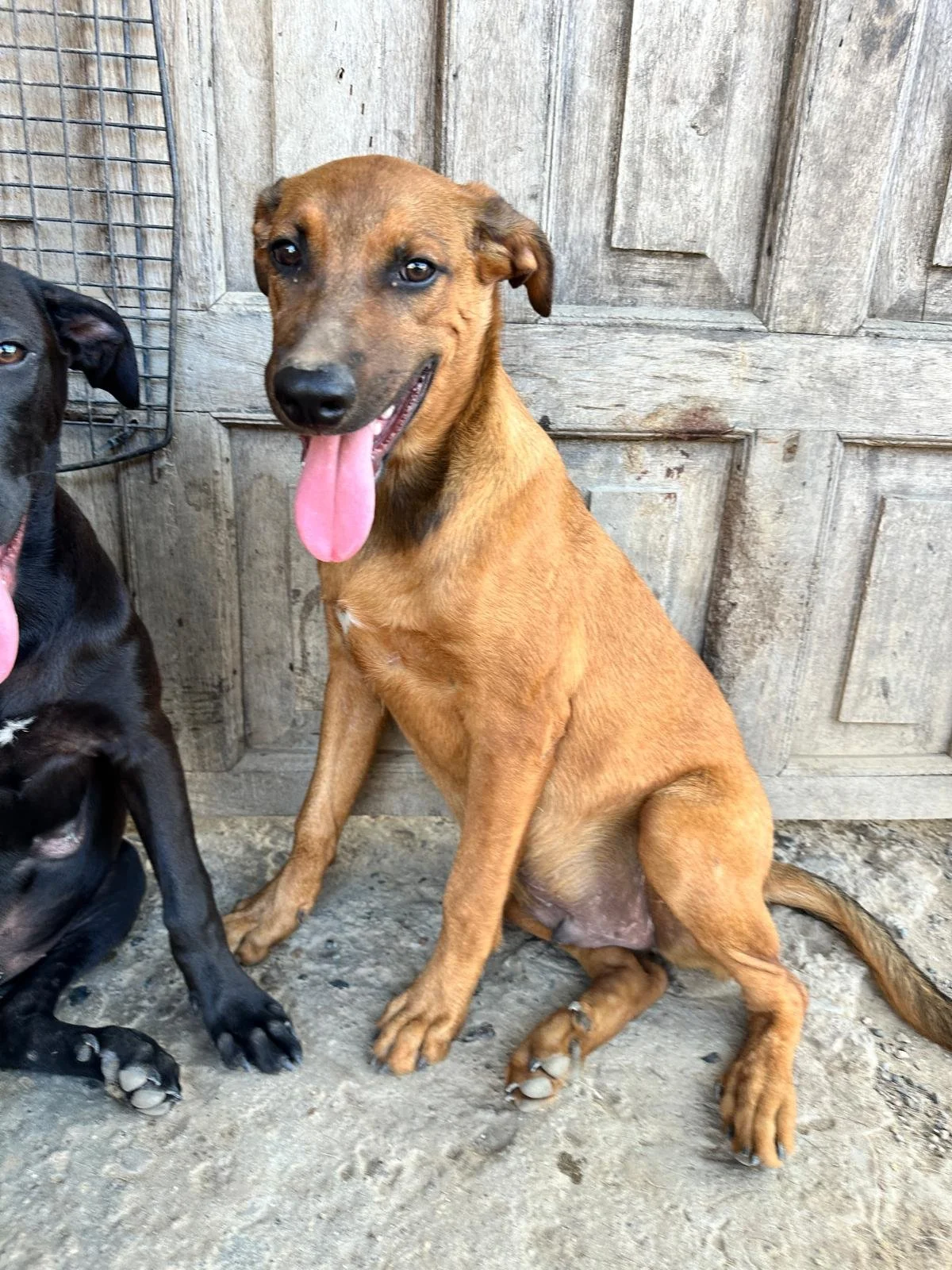 WhatsApp Image 2026-01-29 at 4.27.43 PM.jpeg