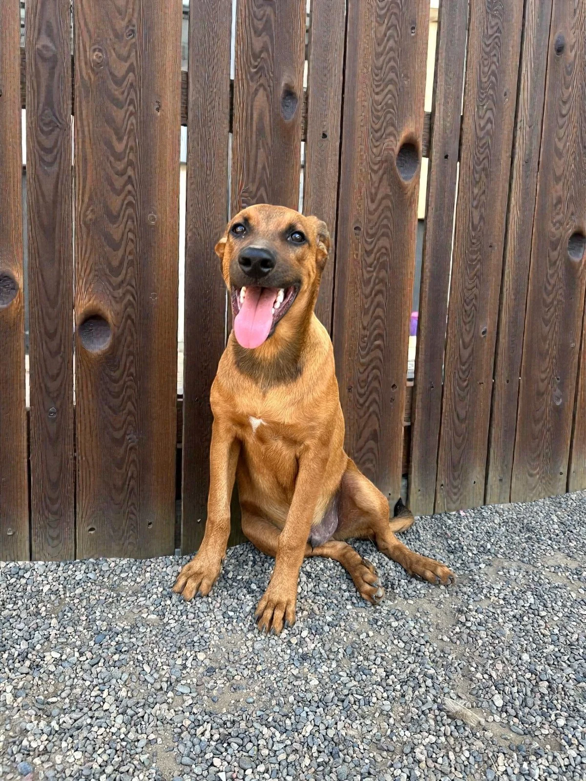 WhatsApp Image 2026-01-29 at 4.27.43 PM (1).jpg