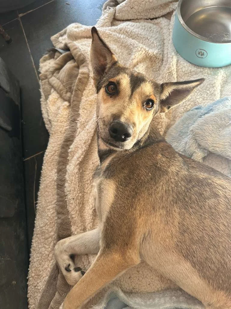 WhatsApp Image 2026-01-25 at 5.01.38 PM (3).jpeg