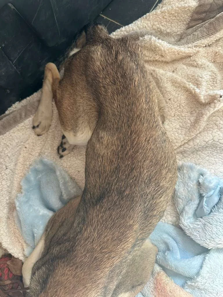 WhatsApp Image 2026-01-25 at 5.01.39 PM (1).jpeg