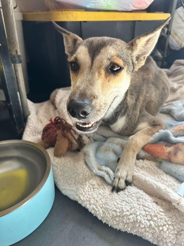 WhatsApp Image 2026-01-25 at 5.01.40 PM.jpeg