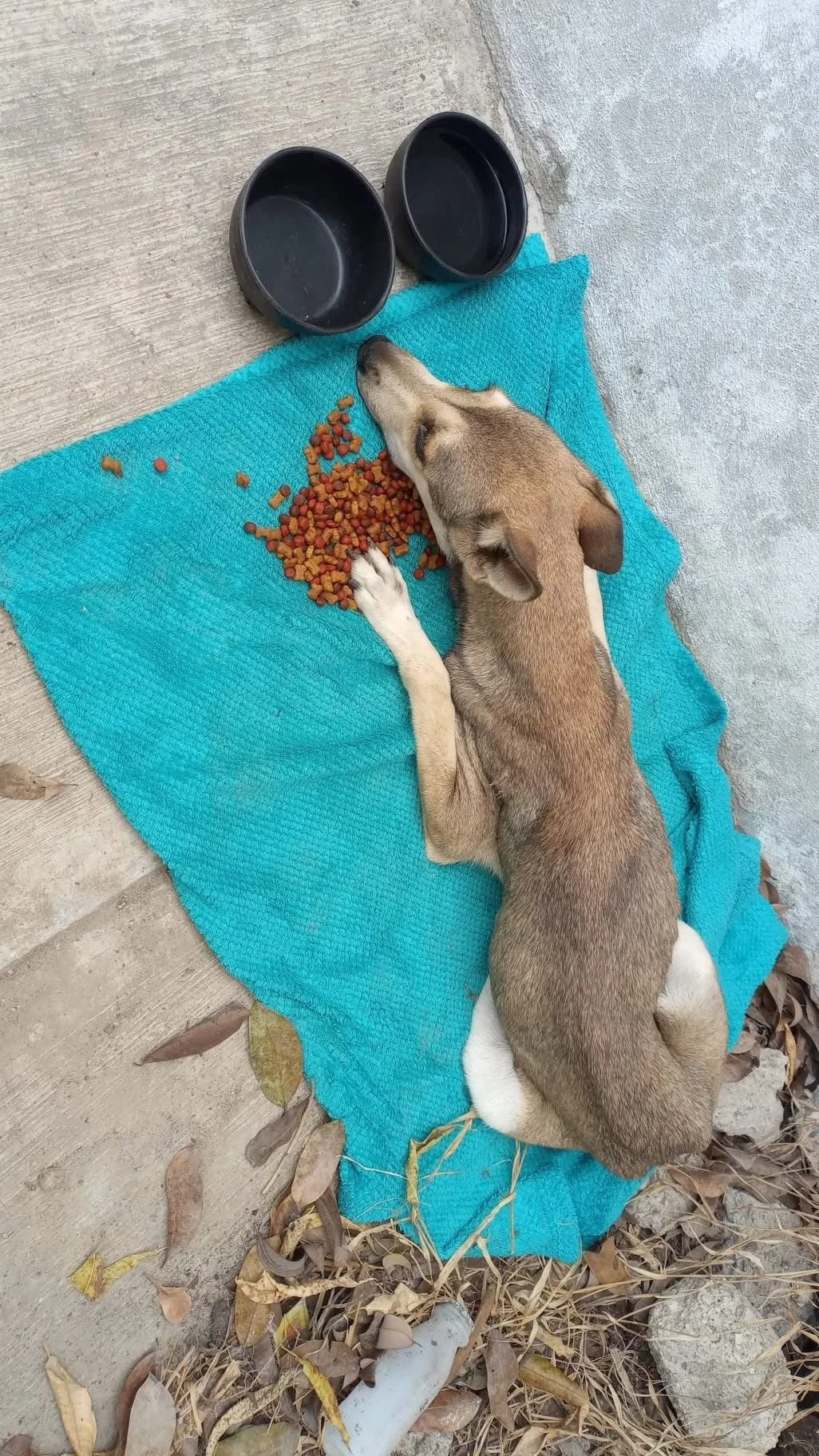 WhatsApp Image 2026-01-25 at 5.01.38 PM (1).jpeg