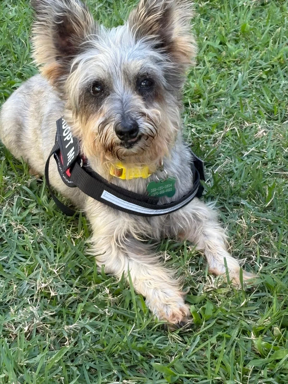 WhatsApp Image 2026-02-02 at 12.18.59 PM.jpeg