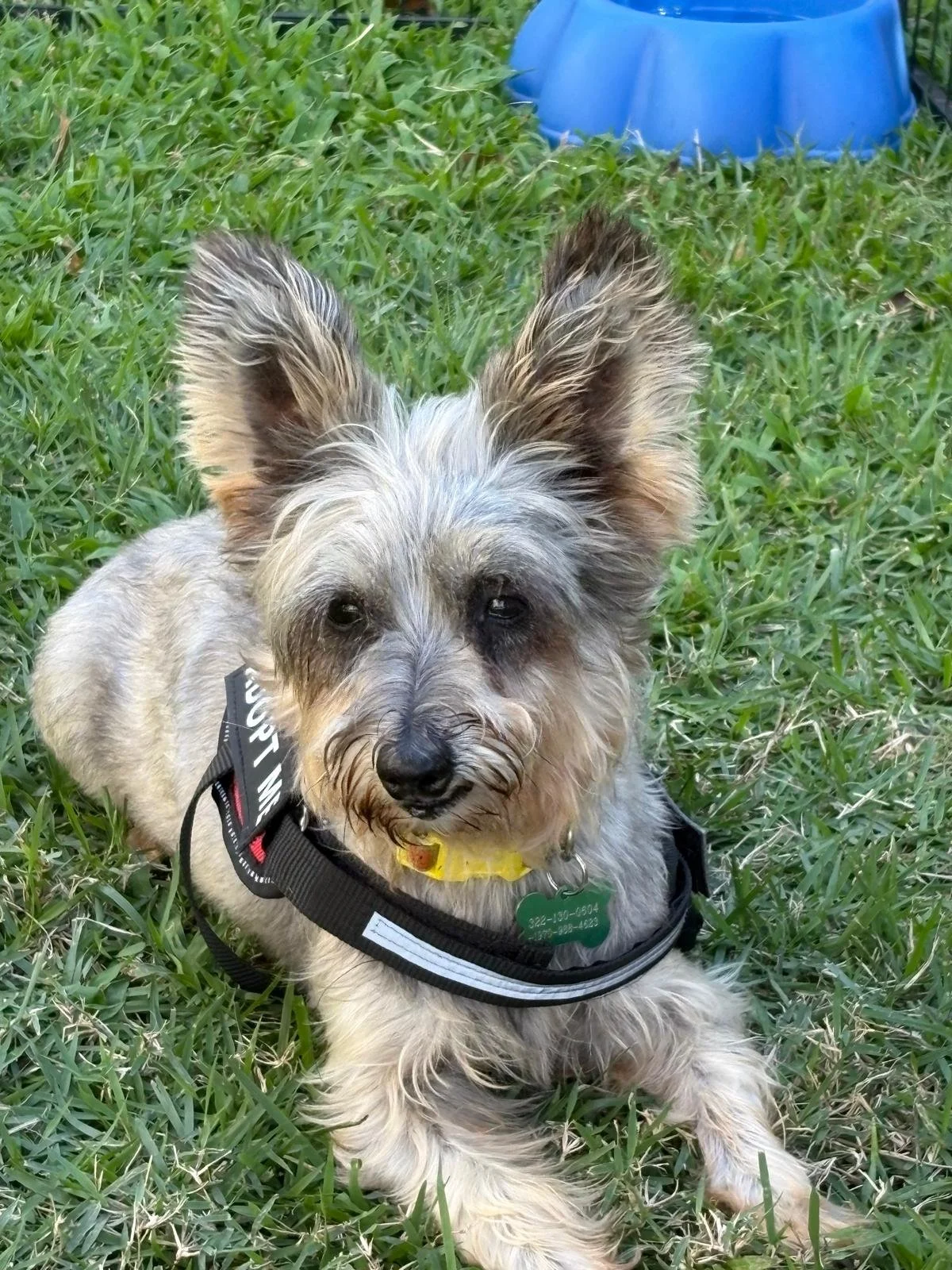 WhatsApp Image 2026-02-02 at 12.19.00 PM.jpeg