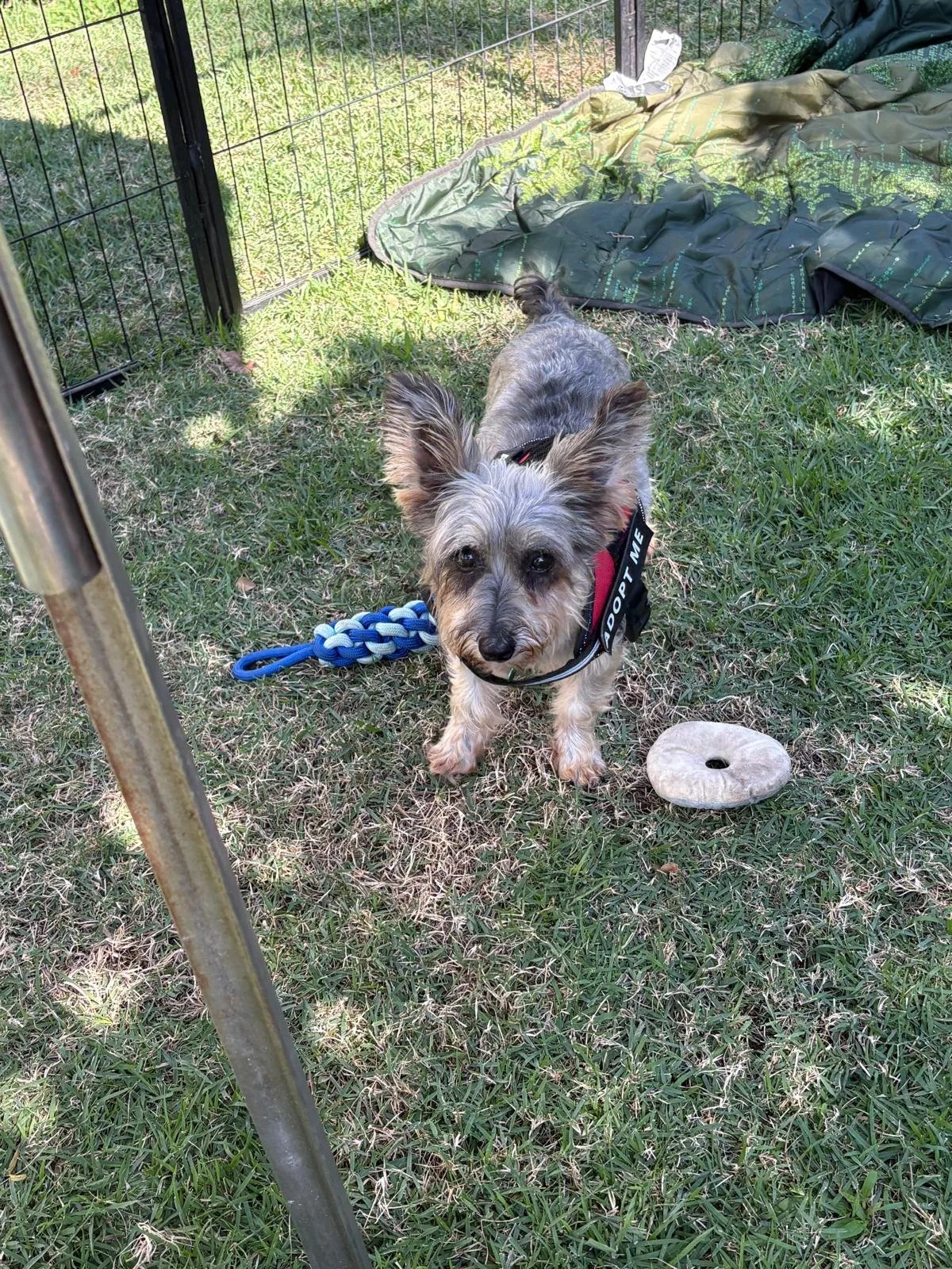 WhatsApp Image 2026-02-02 at 12.08.43 PM (4).jpeg