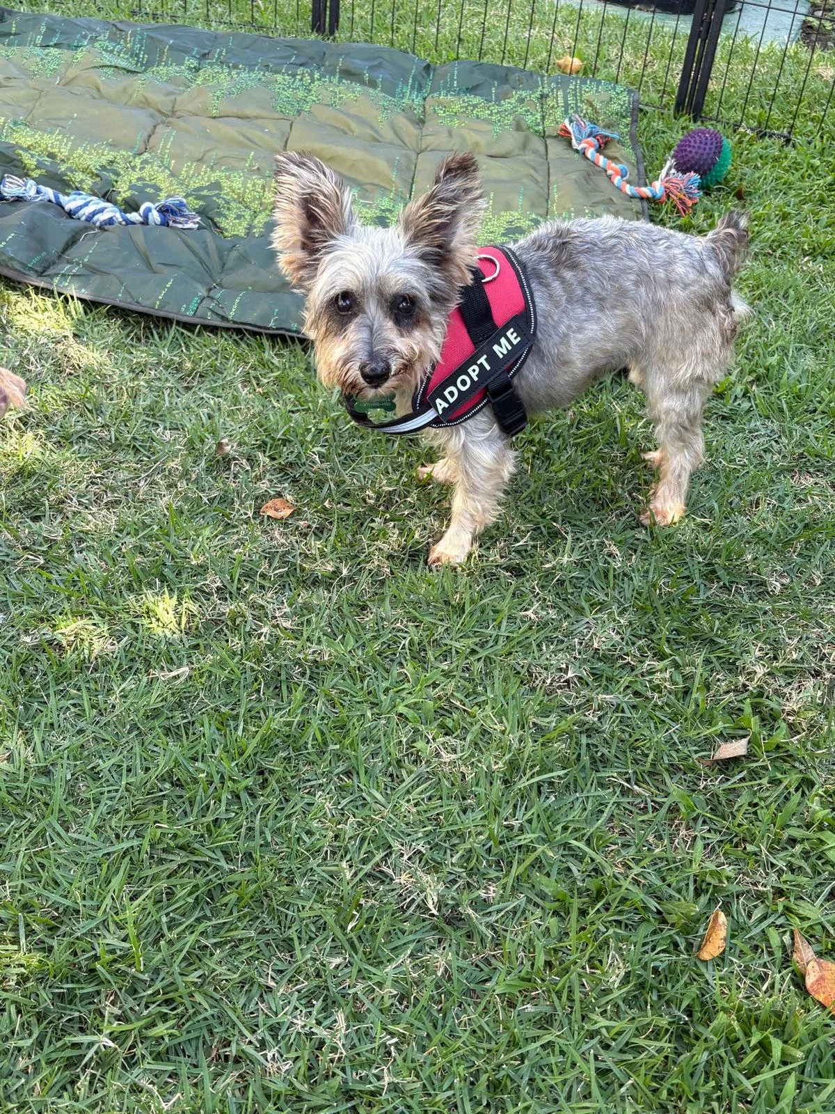 WhatsApp Image 2026-02-02 at 12.08.43 PM (5).jpeg