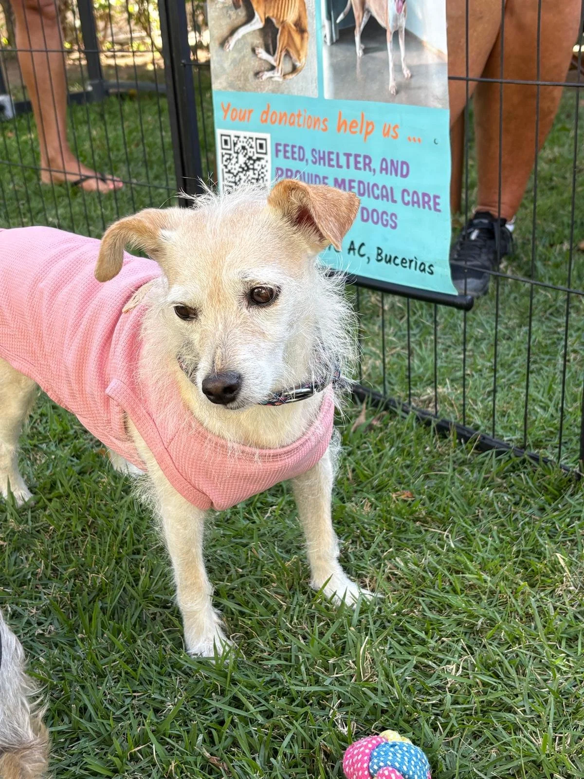 WhatsApp Image 2026-02-02 at 12.08.43 PM (2).jpeg