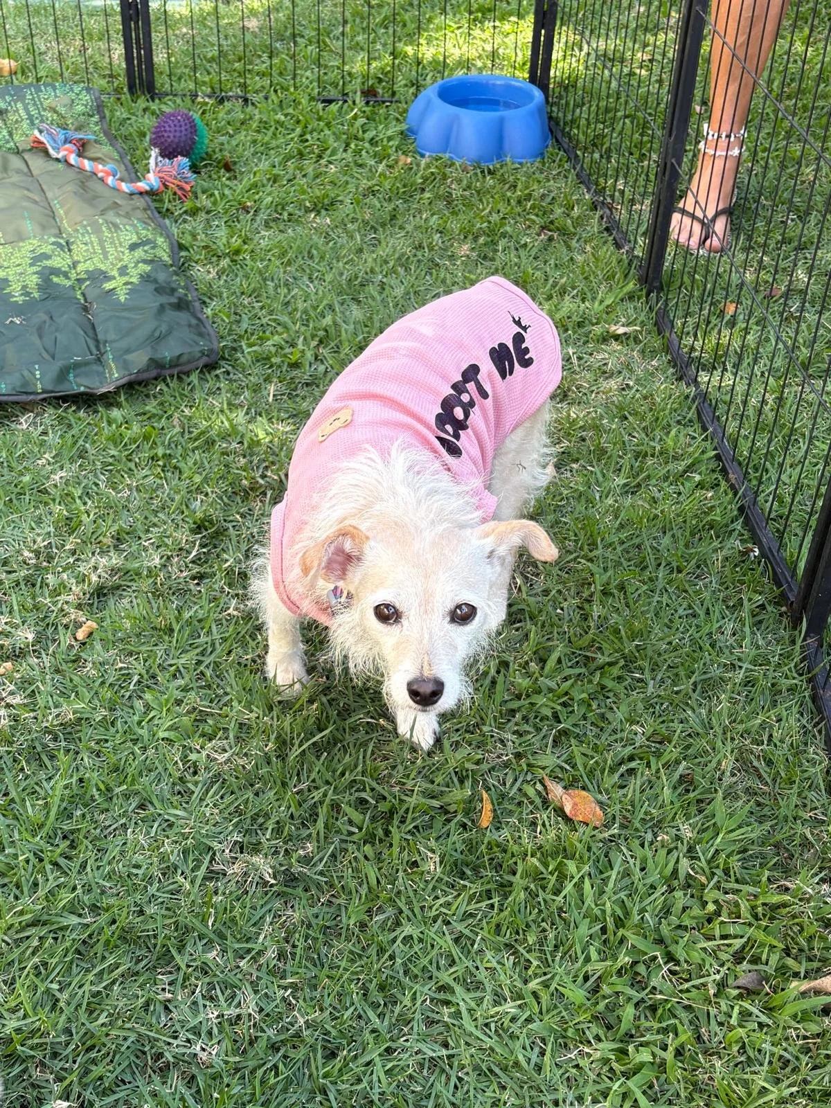 WhatsApp Image 2026-02-02 at 12.08.43 PM (1).jpeg