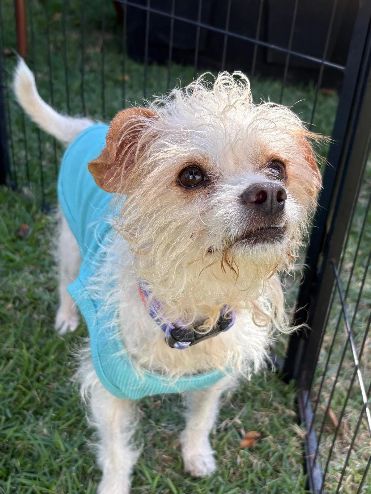 WhatsApp Image 2026-02-02 at 12.08.43 PM (3).jpeg