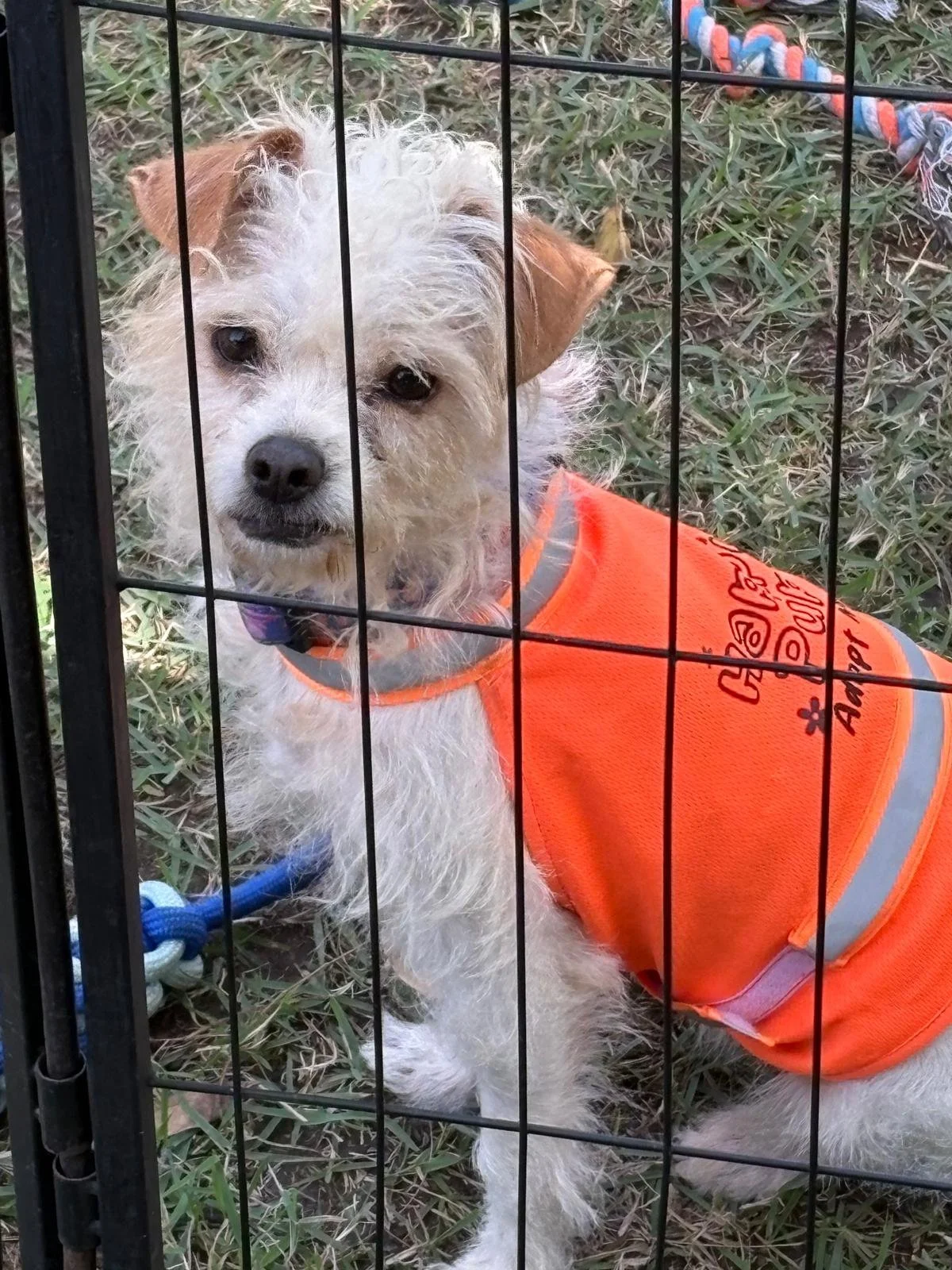 WhatsApp Image 2026-02-04 at 5.18.34 PM (1).jpeg