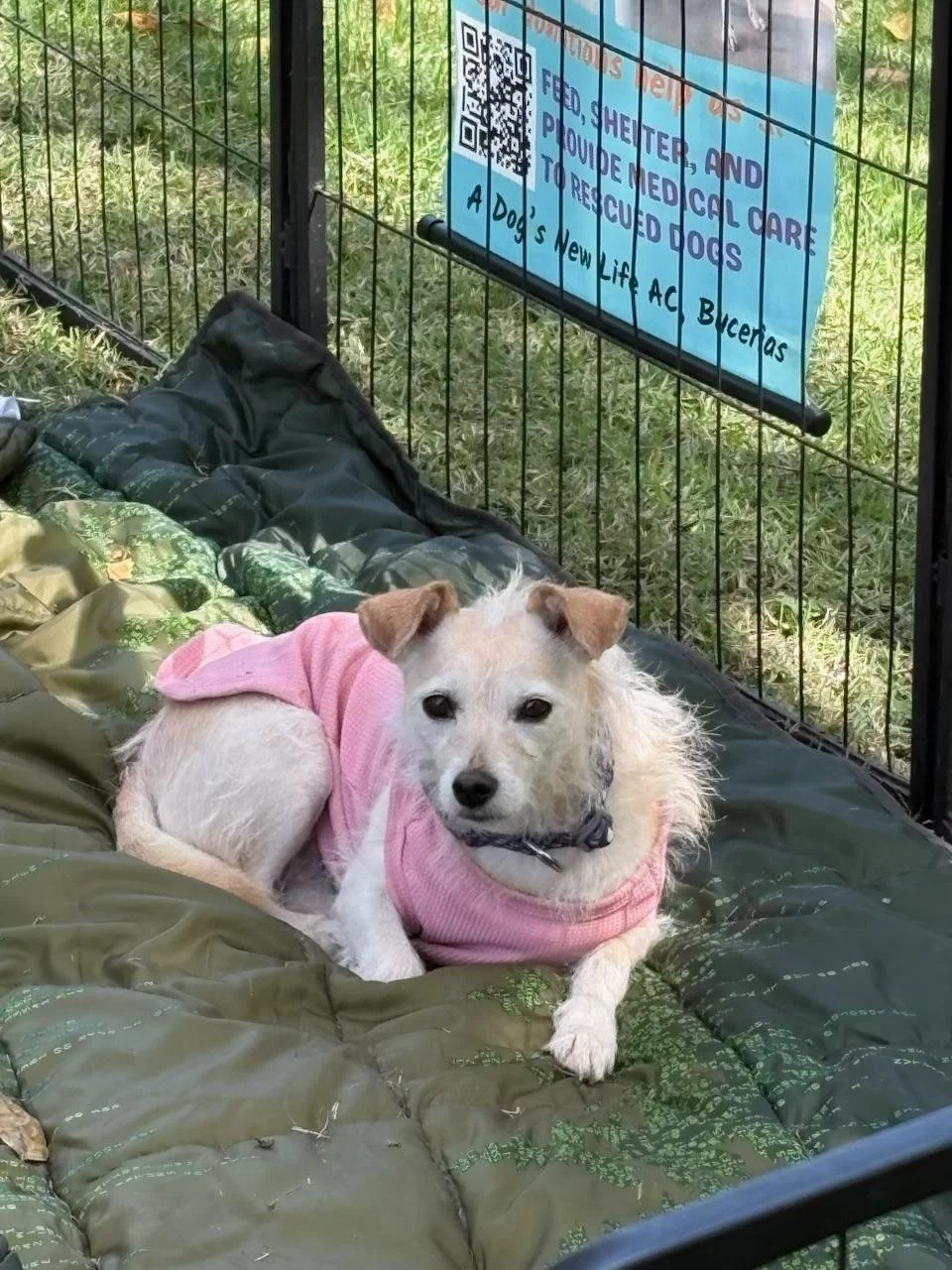 WhatsApp Image 2026-02-04 at 5.18.34 PM (2).jpeg