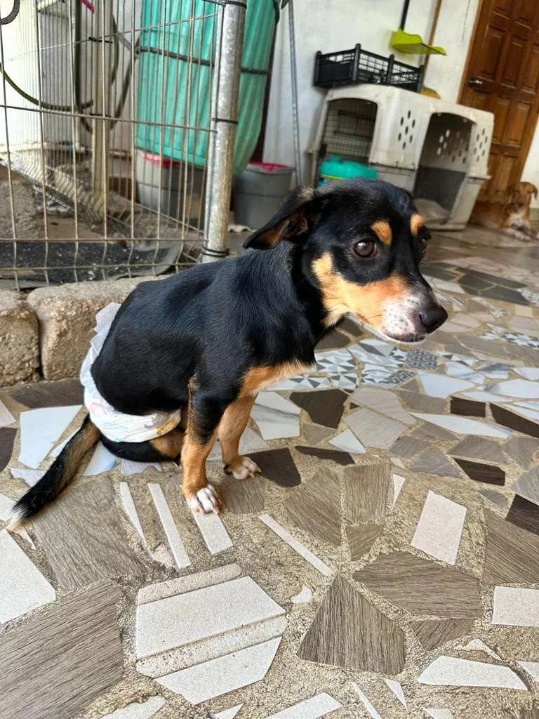 WhatsApp Image 2026-02-02 at 2.45.04 PM.jpeg