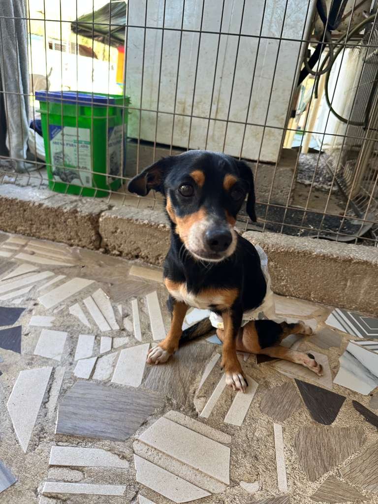 WhatsApp Image 2026-02-02 at 2.45.03 PM (2).jpeg