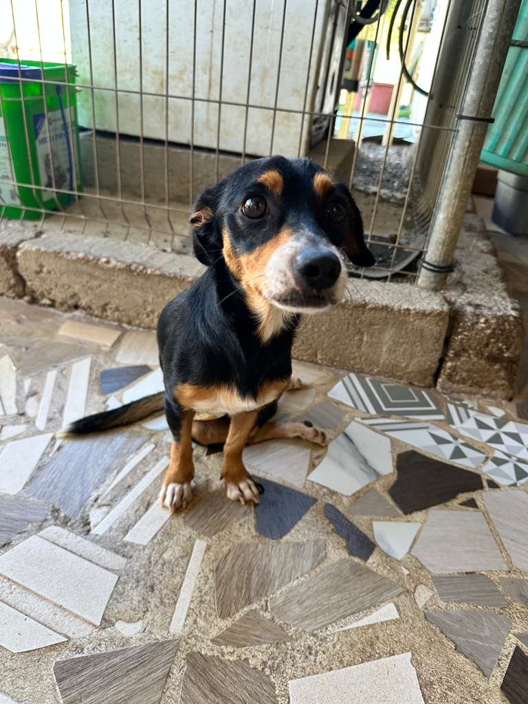 WhatsApp Image 2026-02-02 at 2.45.03 PM (1).jpeg