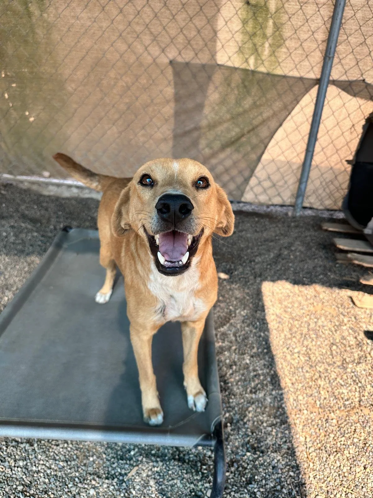 WhatsApp Image 2026-02-01 at 4.37.10 PM.jpeg