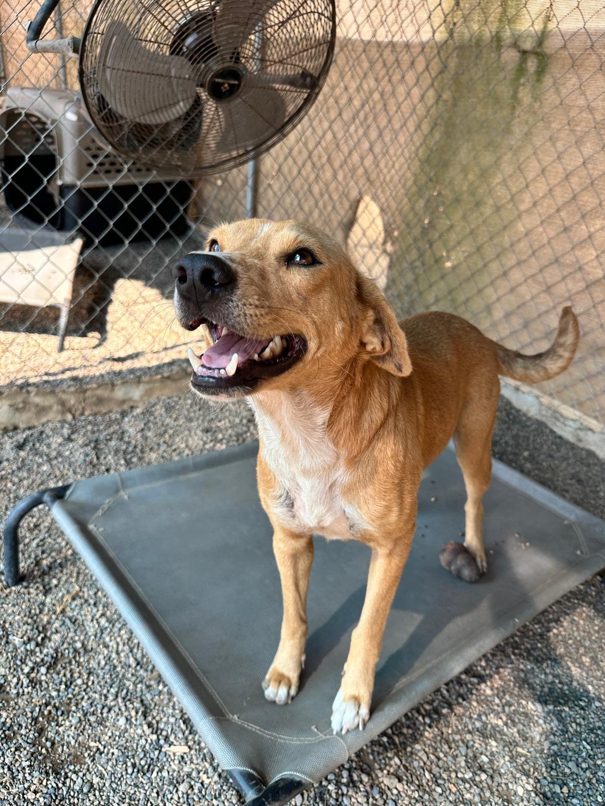 WhatsApp Image 2026-02-01 at 4.37.09 PM (1).jpeg