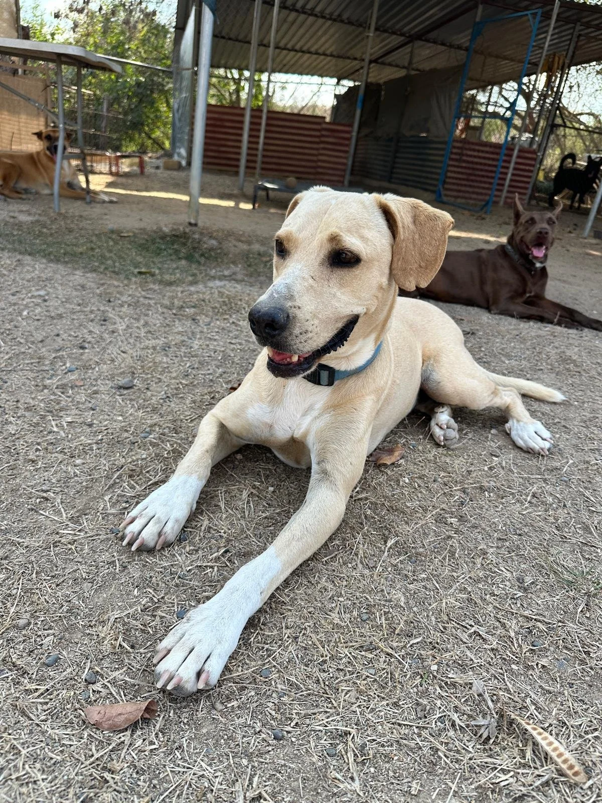 WhatsApp Image 2026-02-01 at 4.37.09 PM (3).jpeg