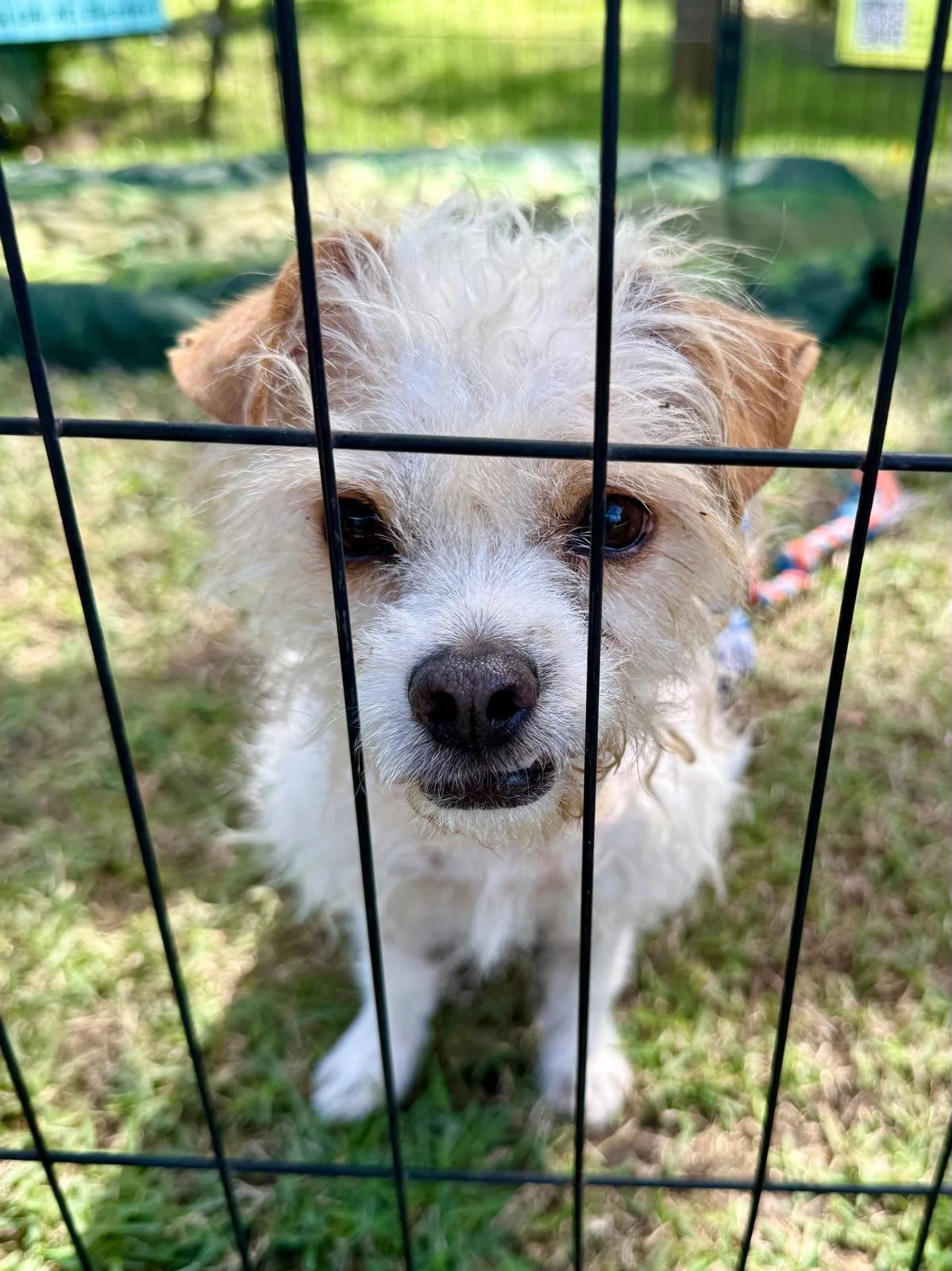 WhatsApp Image 2026-02-04 at 5.18.00 PM.jpeg