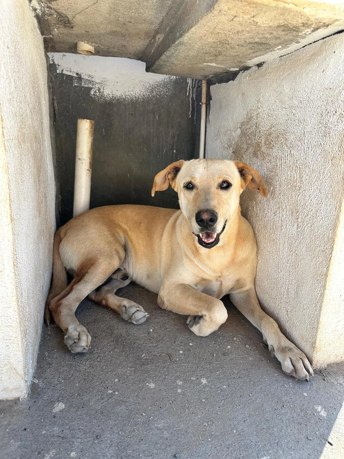 WhatsApp Image 2026-02-02 at 3.40.51 PM (1).jpeg