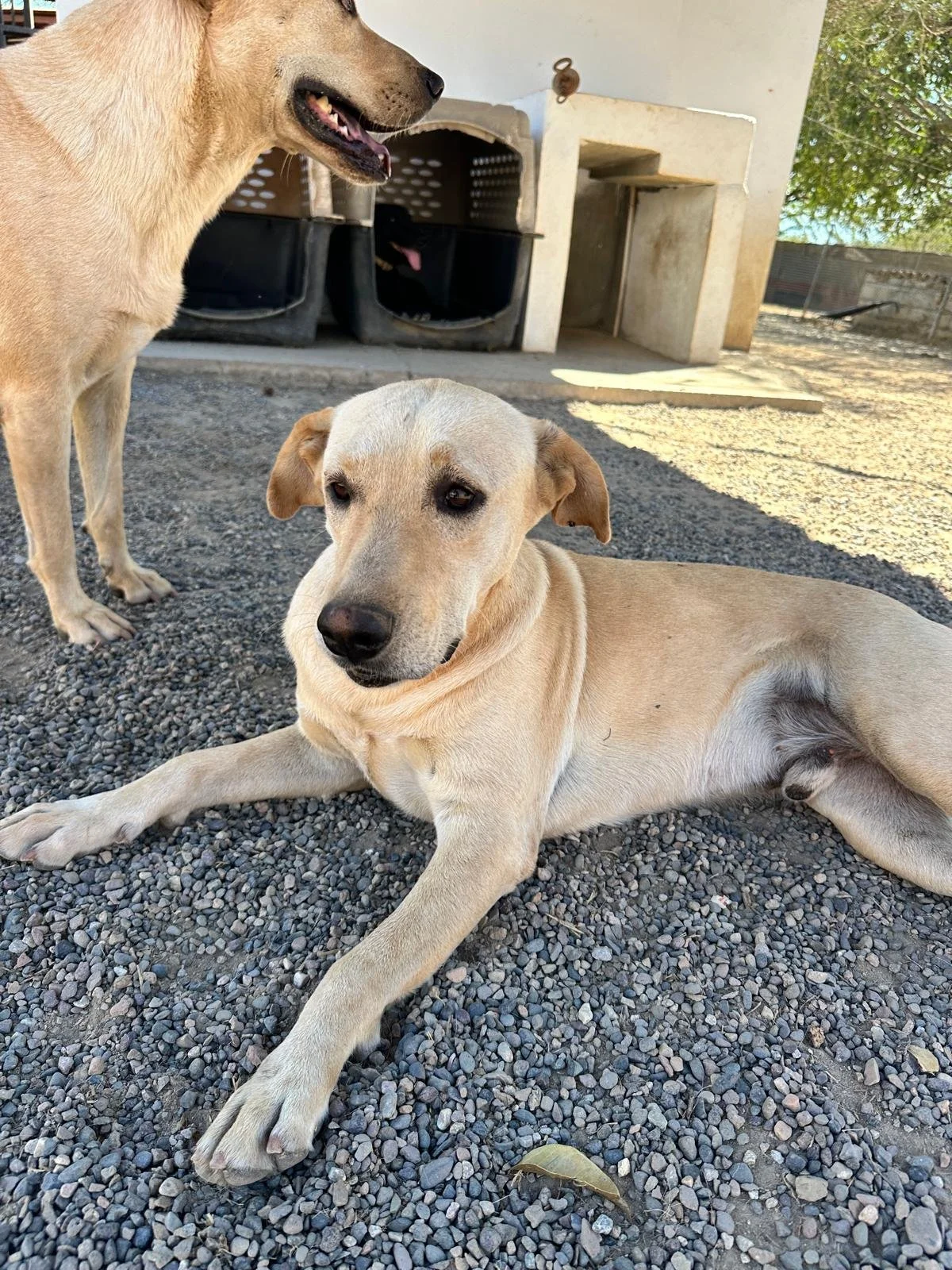 WhatsApp Image 2026-02-02 at 3.40.51 PM.jpeg