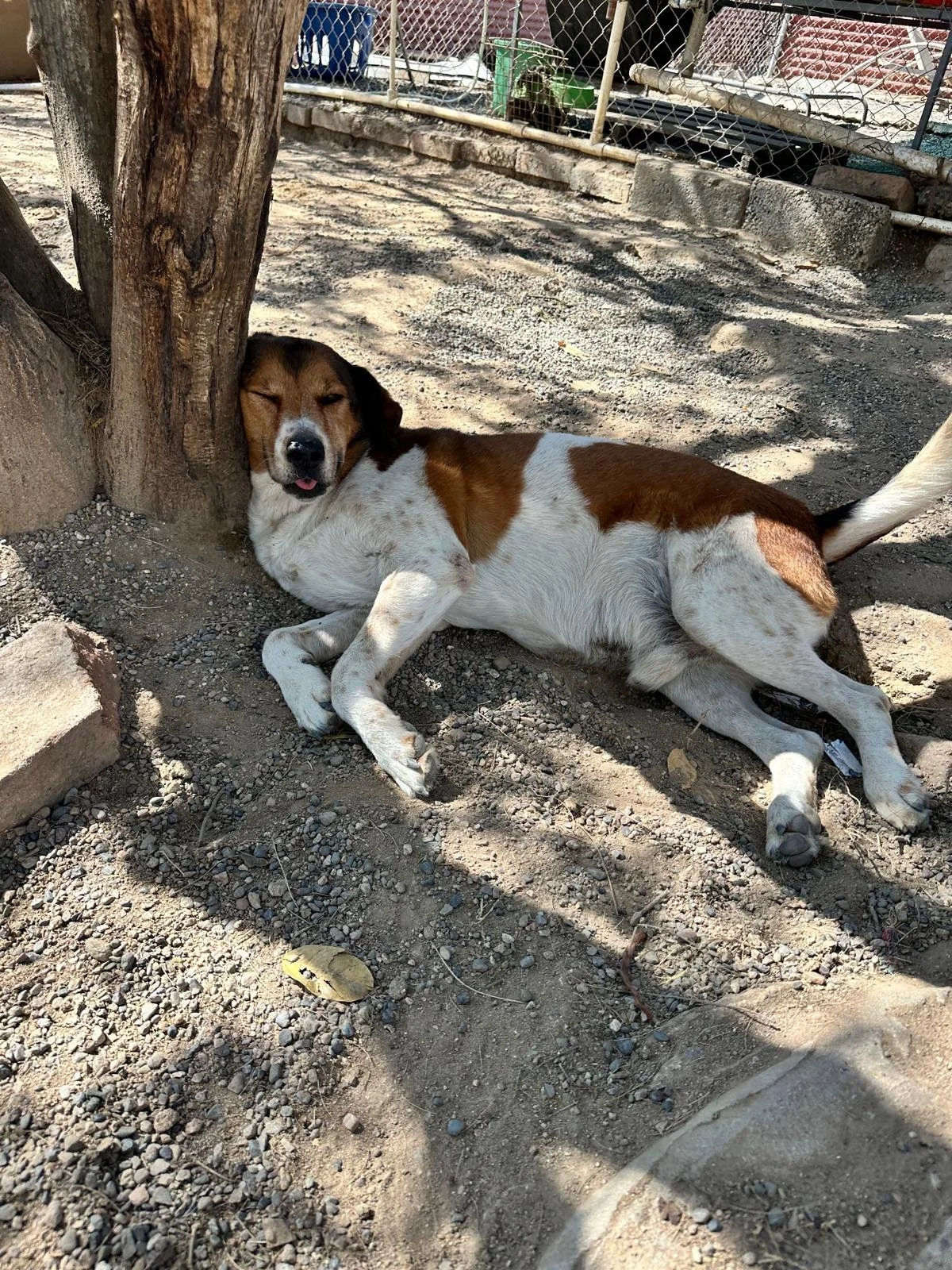 WhatsApp Image 2026-02-02 at 3.39.39 PM.jpeg