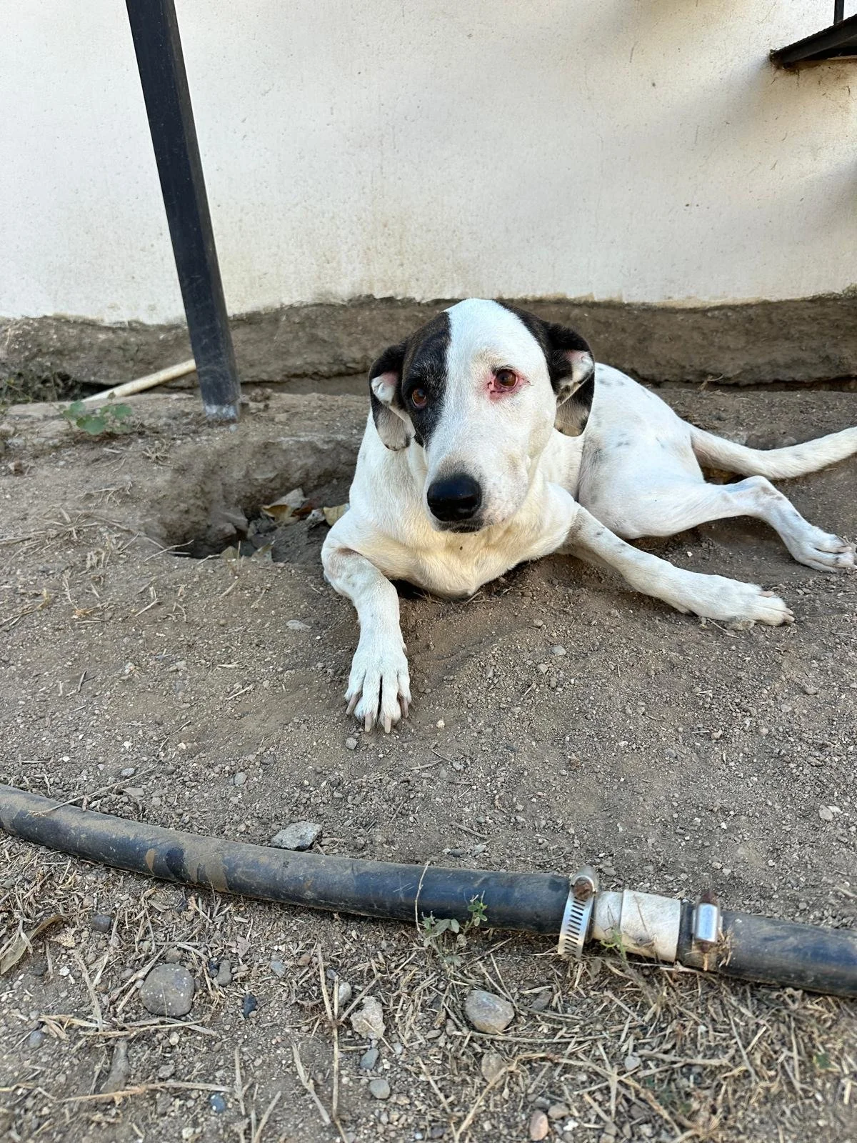 WhatsApp Image 2026-02-02 at 3.39.49 PM.jpeg