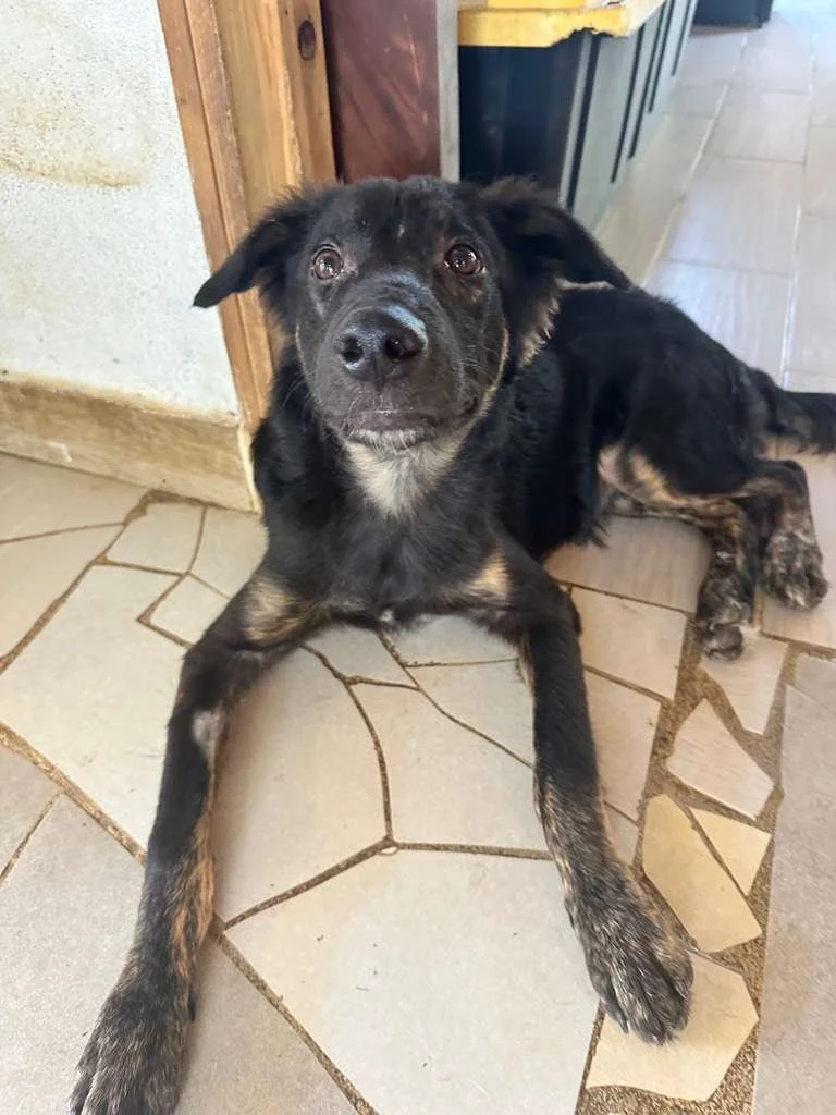 WhatsApp Image 2026-02-05 at 1.47.26 PM (2).jpeg