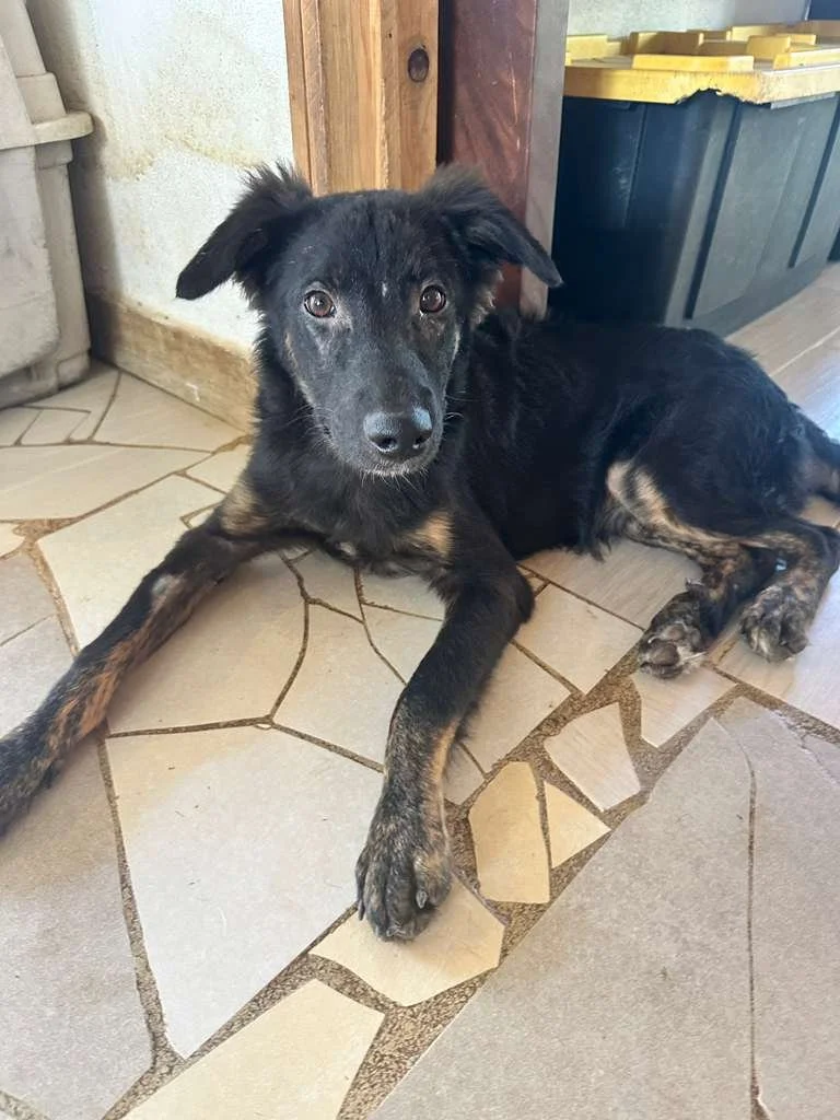 WhatsApp Image 2026-02-05 at 1.47.27 PM (1).jpeg