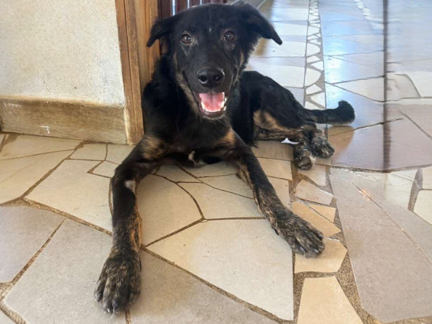 WhatsApp Image 2026-02-05 at 1.47.25 PM.jpg