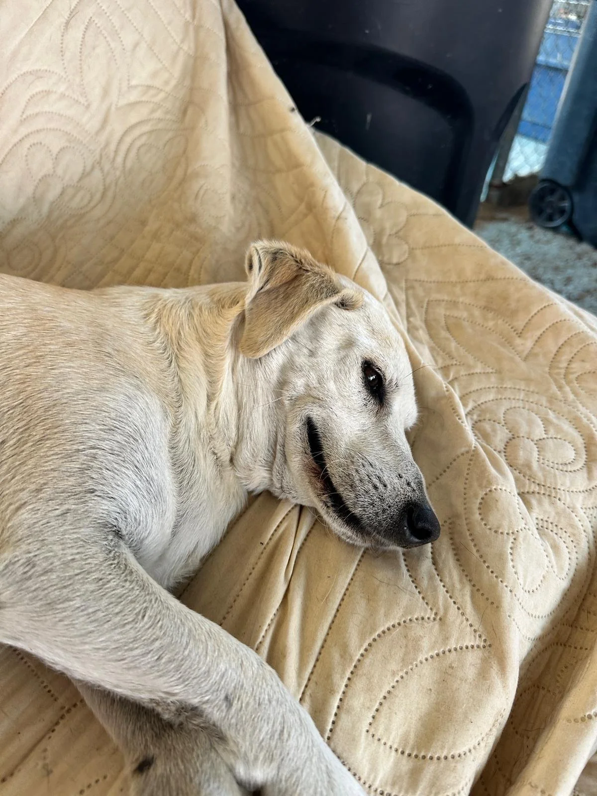 WhatsApp Image 2026-02-05 at 6.56.18 PM.jpeg