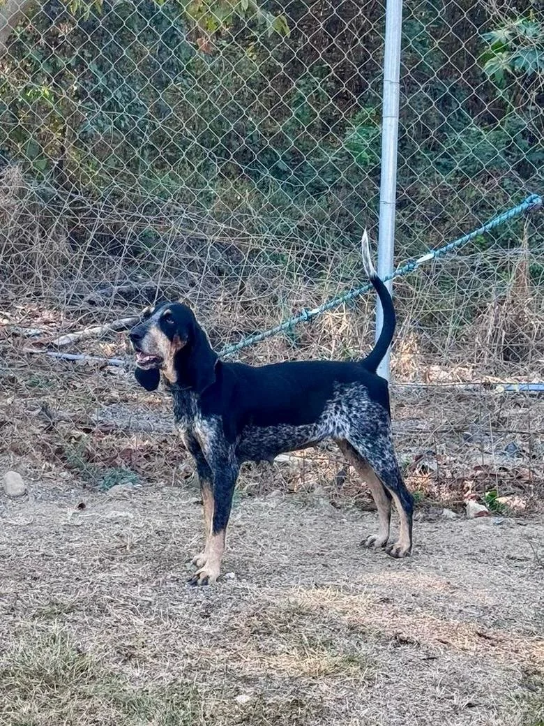 WhatsApp Image 2026-02-07 at 1.34.02 PM (2).jpeg