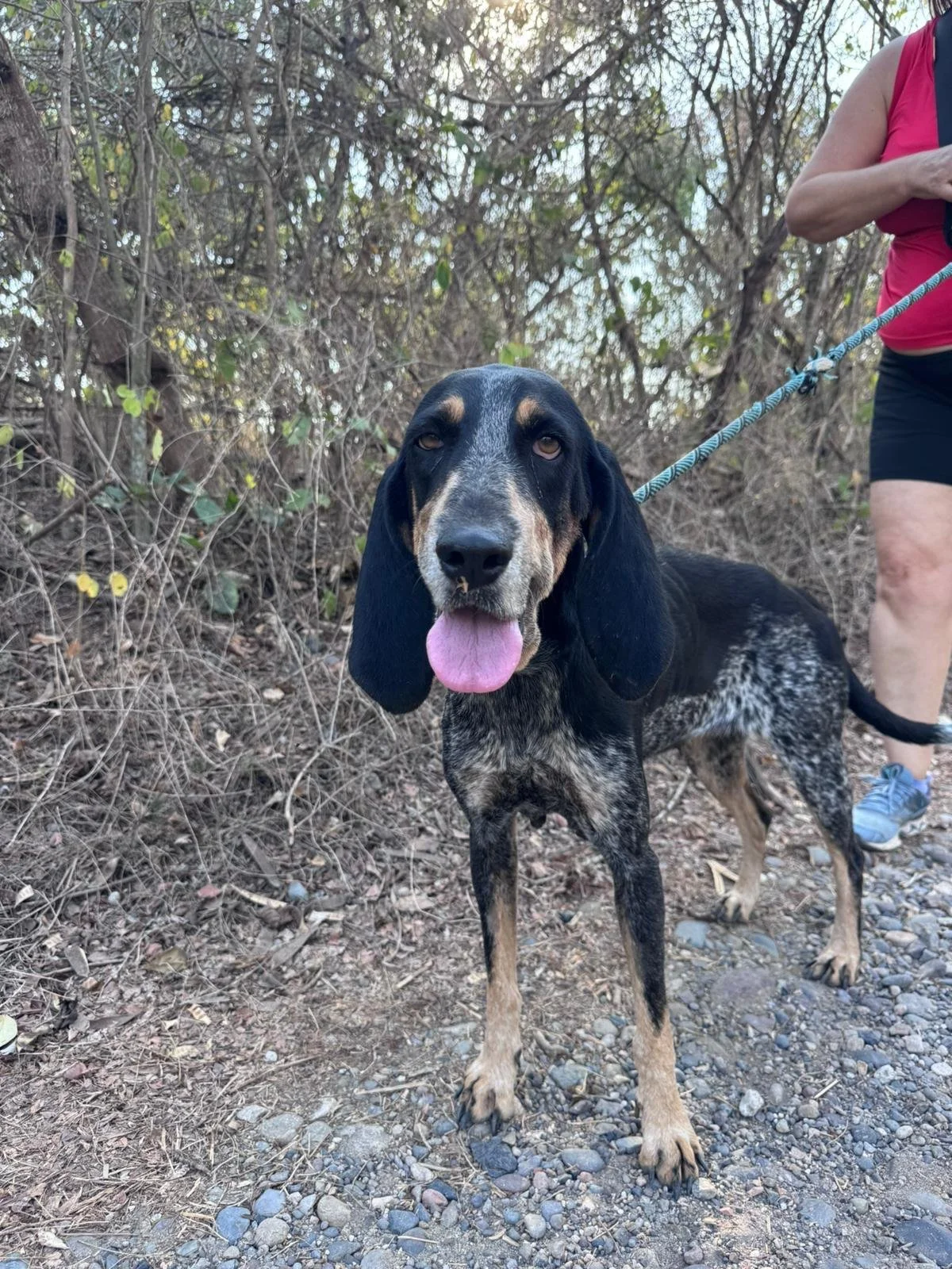 WhatsApp Image 2026-02-07 at 1.34.02 PM (1).jpeg