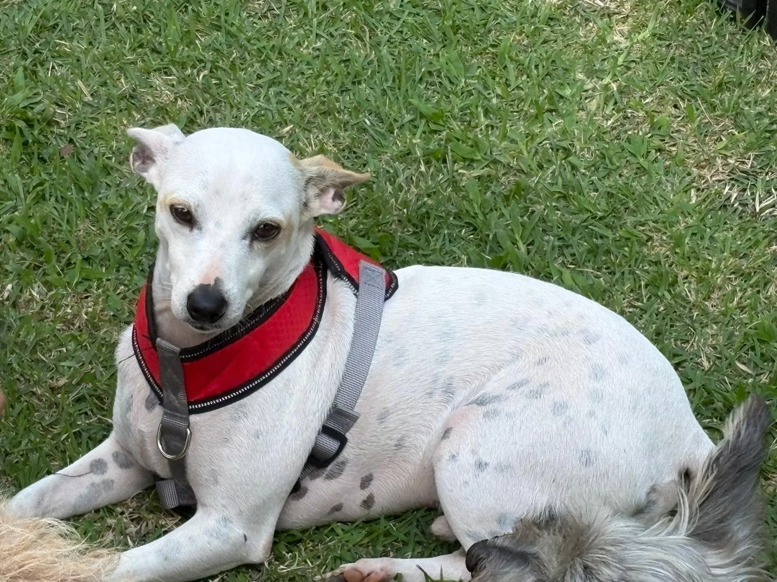 WhatsApp Image 2026-02-09 at 12.16.58 PM (1).jpeg