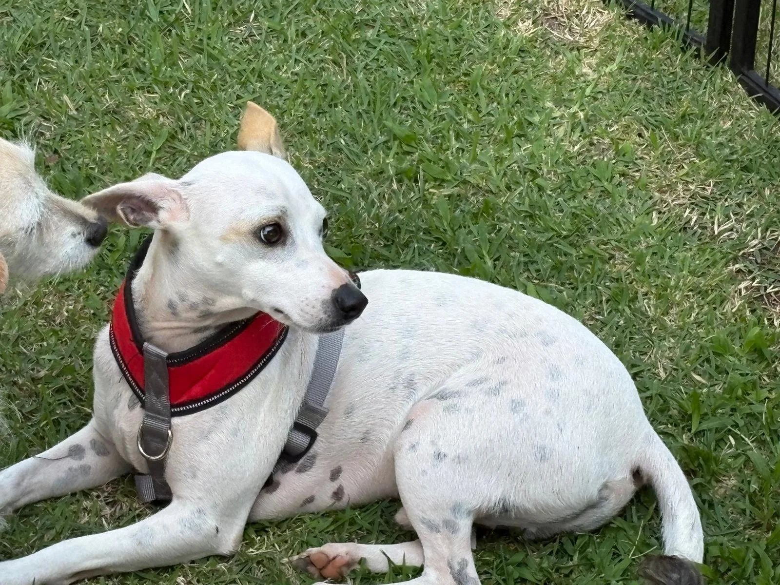 WhatsApp Image 2026-02-09 at 12.16.58 PM.jpeg