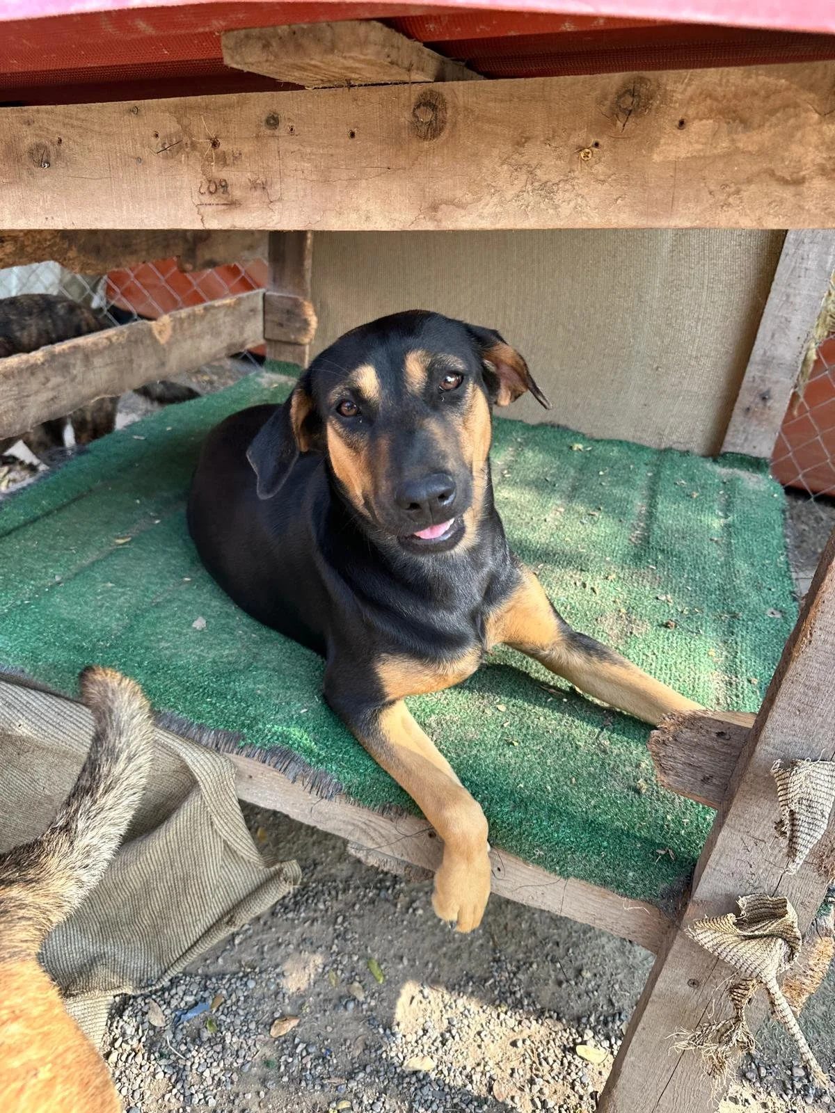 WhatsApp Image 2026-02-08 at 4.47.34 PM (1).jpeg