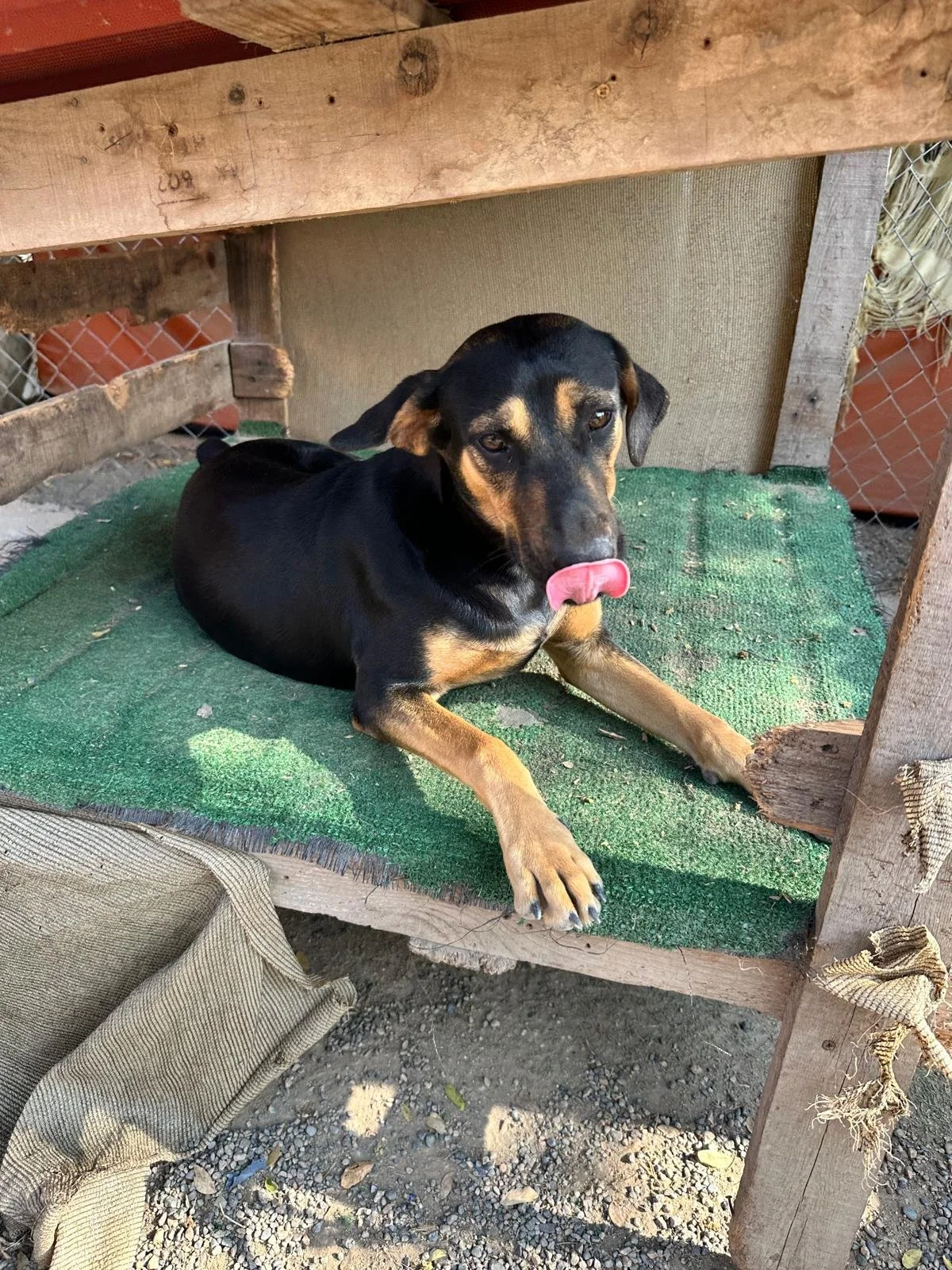 WhatsApp Image 2026-02-08 at 4.47.34 PM.jpeg