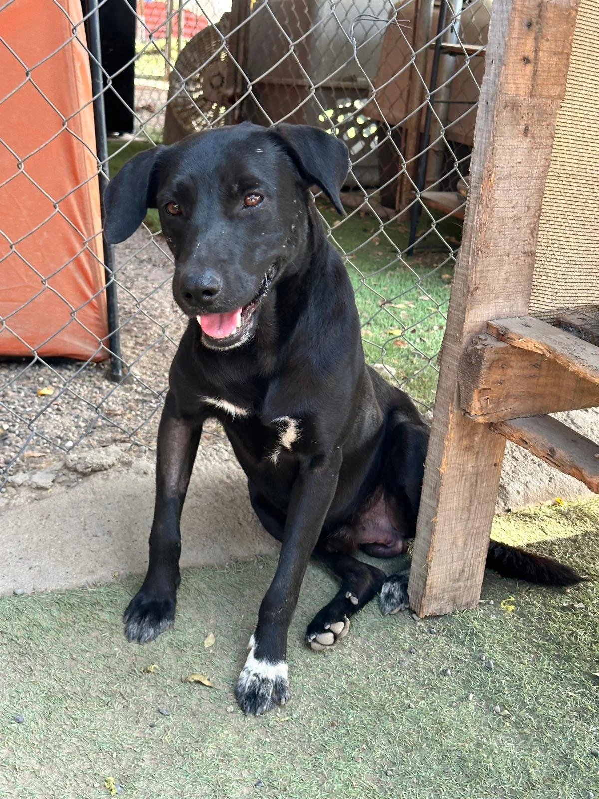 WhatsApp Image 2026-02-08 at 4.47.44 PM.jpeg