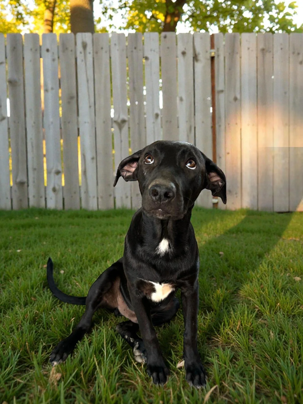 WhatsApp Image 2026-02-08 at 4.47.01 PM (1).jpg