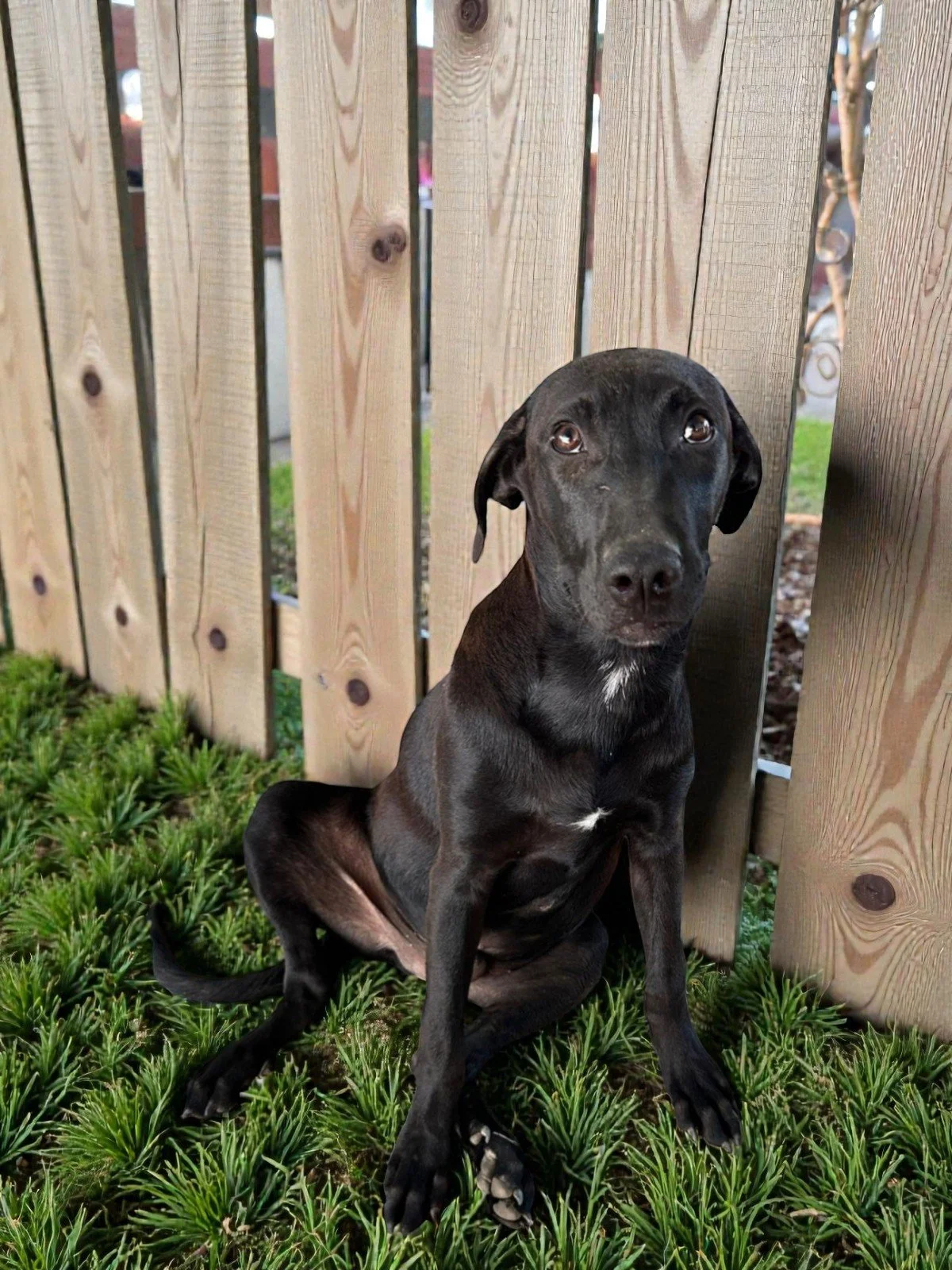 WhatsApp Image 2026-02-08 at 4.47.17 PM (2) (1) (1).jpg