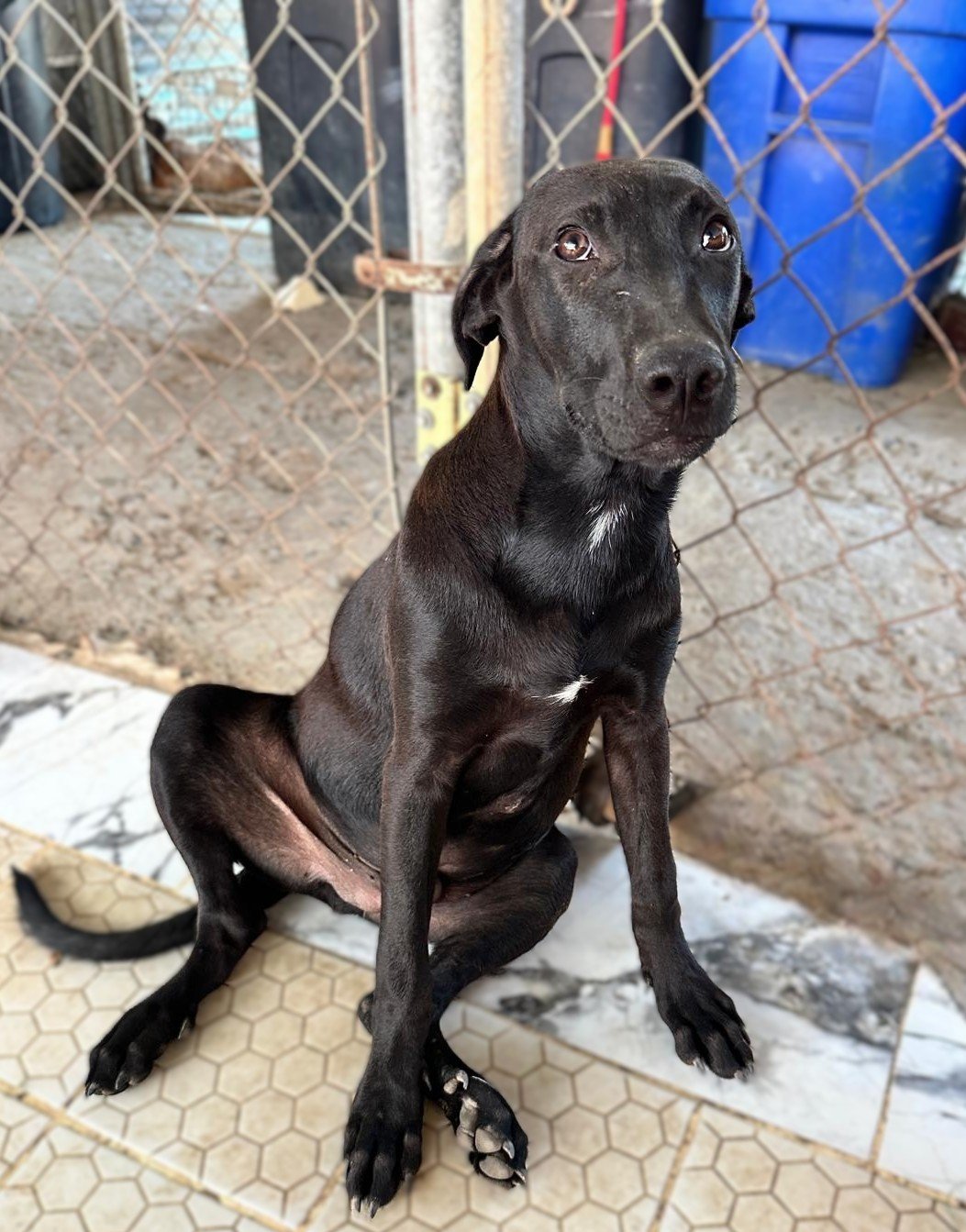 WhatsApp Image 2026-02-08 at 4.47.17 PM (1).jpg