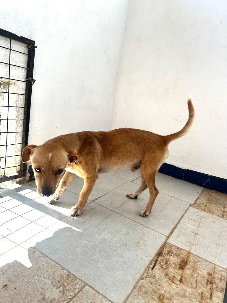 WhatsApp Image 2026-02-11 at 4.46.14 PM (3).jpeg