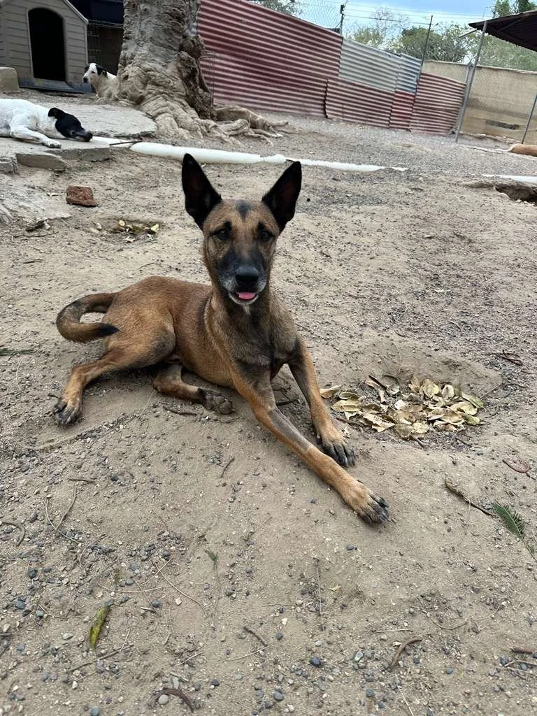 WhatsApp Image 2026-02-13 at 3.43.03 PM (1).jpeg