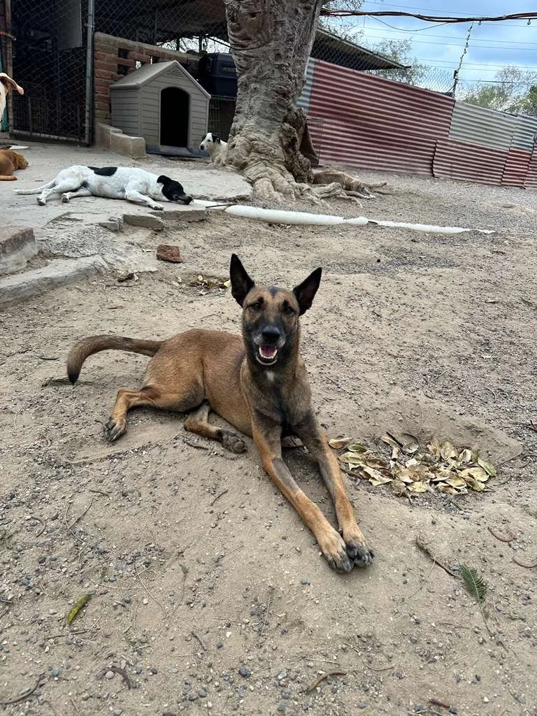 WhatsApp Image 2026-02-13 at 3.43.03 PM.jpeg