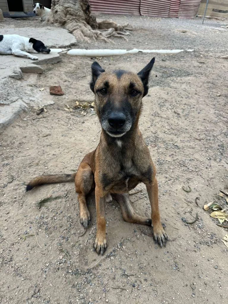 WhatsApp Image 2026-02-13 at 3.43.04 PM.jpeg