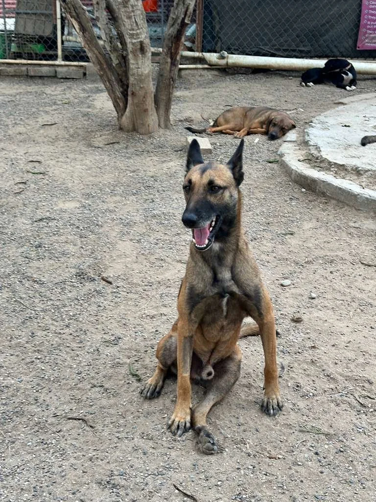 WhatsApp Image 2026-02-13 at 3.43.05 PM.jpeg