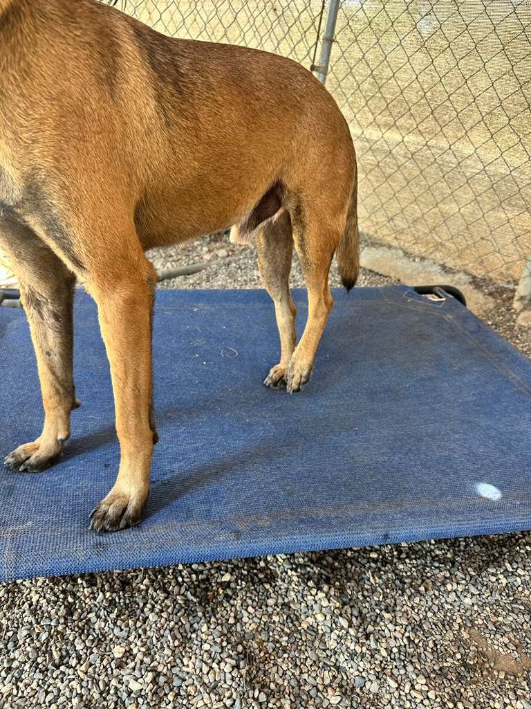 WhatsApp Image 2026-02-05 at 2.06.56 PM (2).jpeg