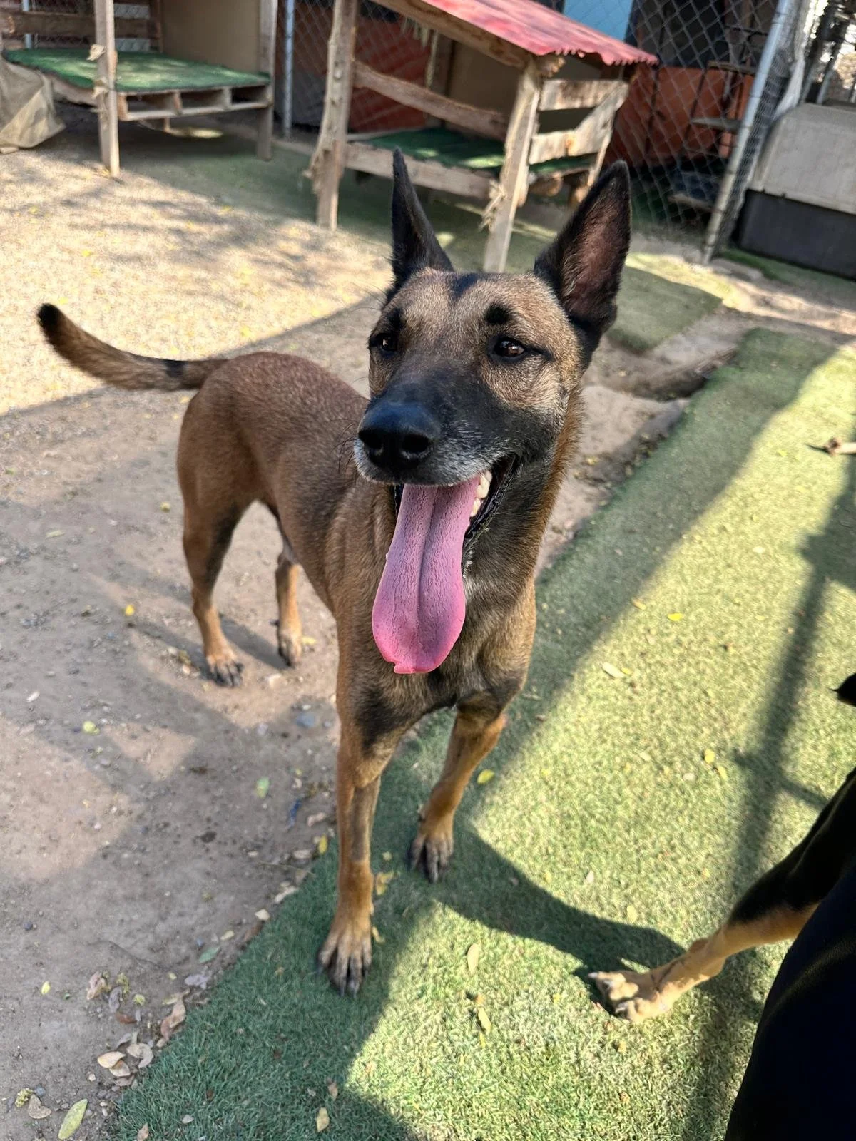 WhatsApp Image 2026-02-08 at 4.46.49 PM.jpeg