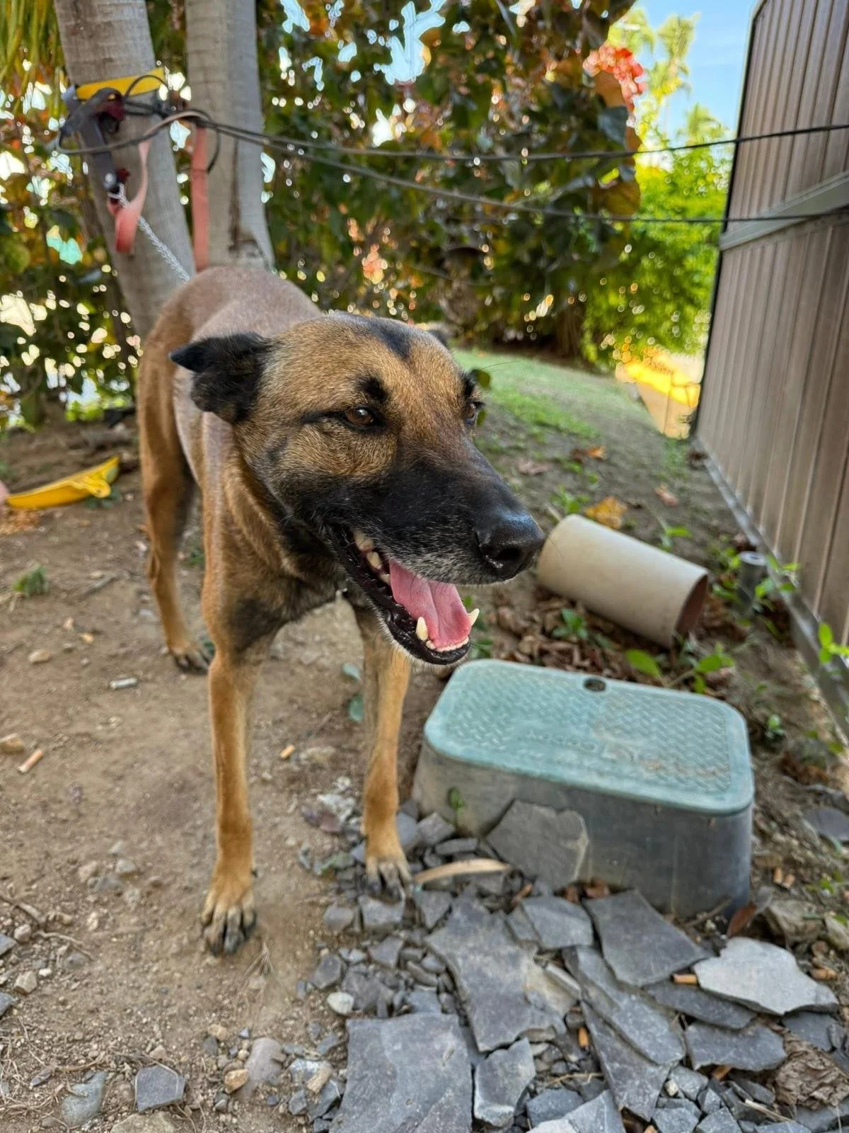 WhatsApp Image 2026-02-05 at 2.06.01 PM (4).jpeg